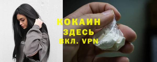 стафф Алзамай