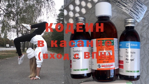 хмурый Алексин