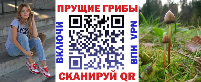 где купить   Хотьково  Галлюциногенные грибы Psilocybine cubensis 